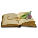 anolisbooks.com.br logo