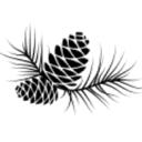 antalowka-apartments.pl logo