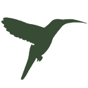 antarktis-expeditionen.de logo
