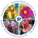 anti-radiation-essence.com logo