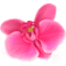 antiaging-mag.com logo