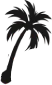 antiguawebsolutions.com logo