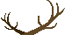 antlerfin.co.za logo