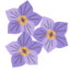 antoreek.com logo