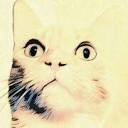 anxiouscat.studio logo