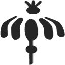 anyasherbals.com logo