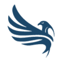 anyelux.com logo