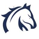 apachelegendgroup.com logo