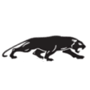 apantera.com logo