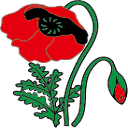 apapoila.pt logo
