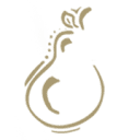 aperfectpearboutique.com logo