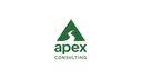 apex-consult.com logo