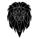 apexcom.net logo