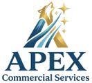 apexcs.ca logo