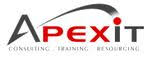 apexinfo.com.au logo