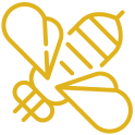 apiavant.es logo