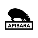 apibara.pl logo