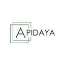 apidaya.com logo