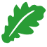 apifito24.ru logo