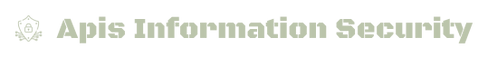 apisinfosec.com logo