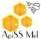 apiss.pt logo