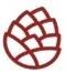 apnedukaan.com logo