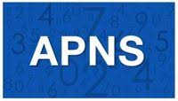 apnsdubai.com logo