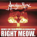apocalypsemeow.co logo