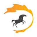 apollodealerservices.com logo