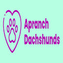 apranchdachshunds.com logo