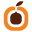 apricotindia.com logo