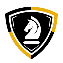 aprotectiveservices.com logo