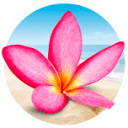 aquaverde.eu logo