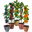 arbolesfrutales.es logo