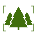 arborydigital.com logo
