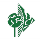 arcangeligino.com logo