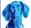armbrustkennels.com logo