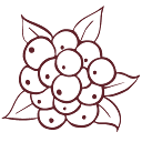 aronia-und-mehr.at logo