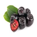 aronia.hu logo