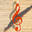 arpegemusique.com logo