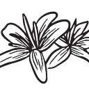 arraialcasas.com.br logo