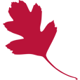 arsblanc.net logo
