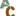 arsenalcollection.com logo