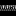 arsenalsecurityguardtraining.com logo