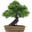 arteynaturaleza.com.ar logo