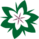 artfleur.ro logo