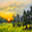 artformedicalcenters.com logo