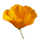 artgiveshope.com logo
