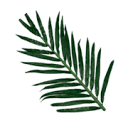 artificialplantchina.com logo