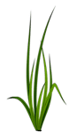 artificialturfcorona.com logo